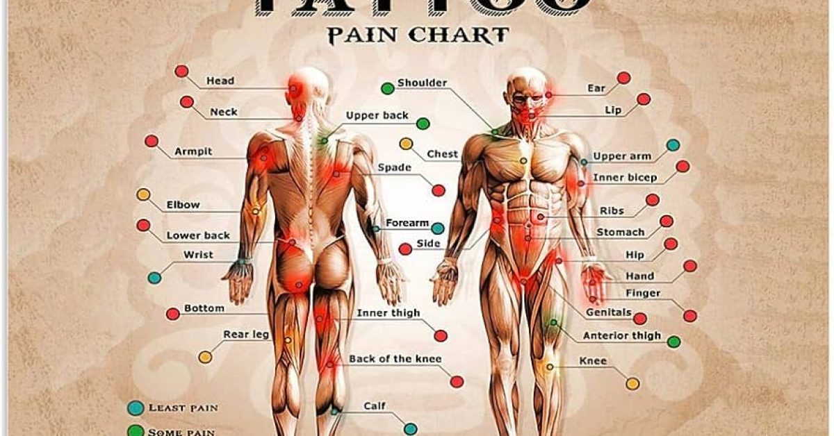 Tattoo Pain Chart